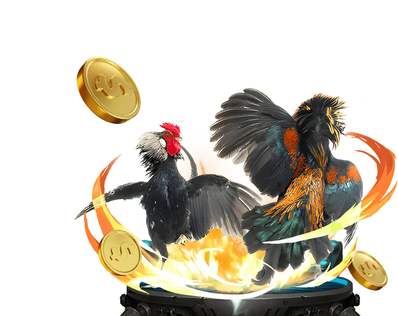 Tổng quan các chương trình khuyến mãi Fi88